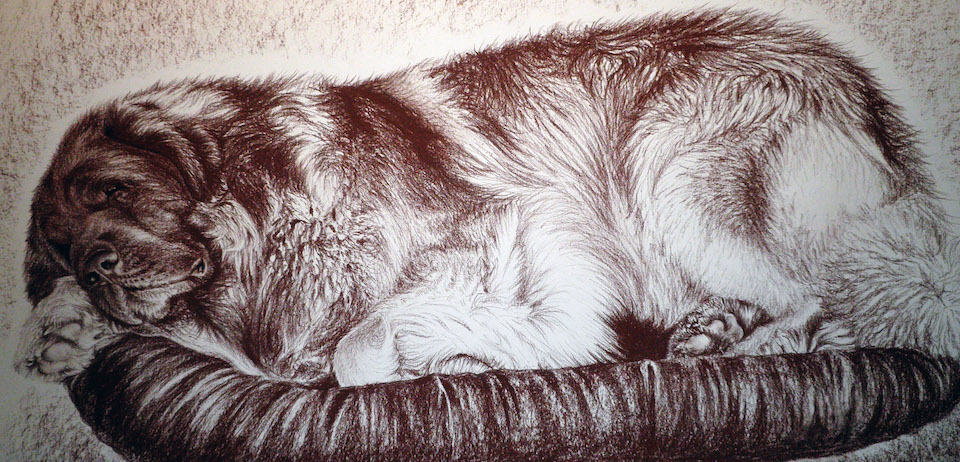 Portrét - portret15.JPG