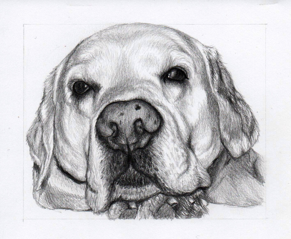 Portrét - portret48.jpg