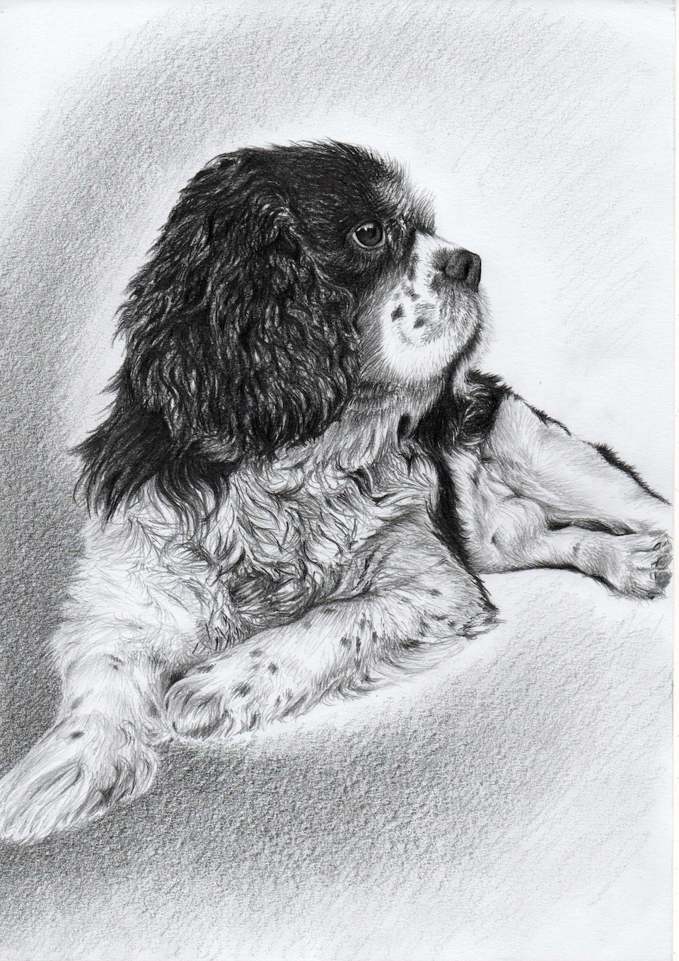 Portrét - portret50.jpg