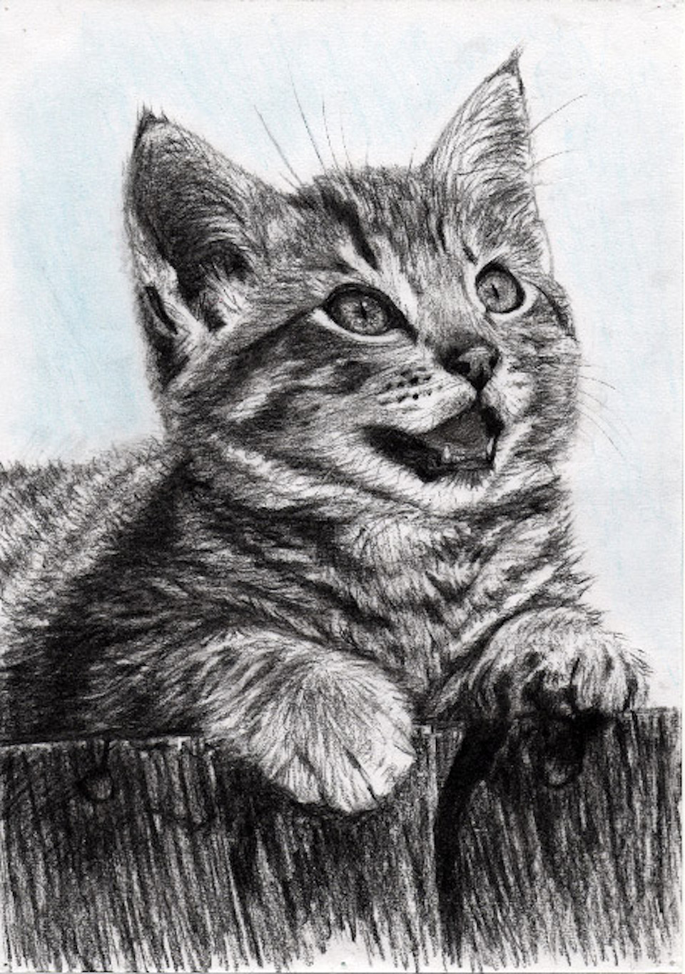 Portrét - portret58.jpg