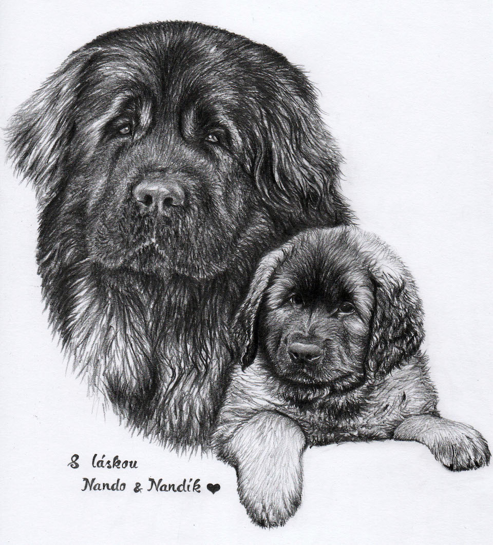 Portrét - portret59.jpg